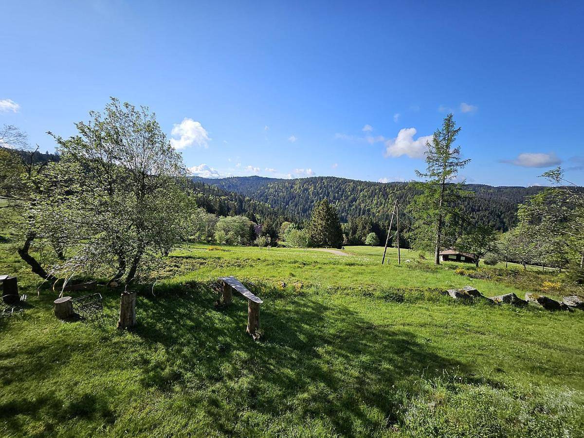 Chalet Perle des Hauts in Gérardmer, Parc naturel régional des Ballons des Vosges