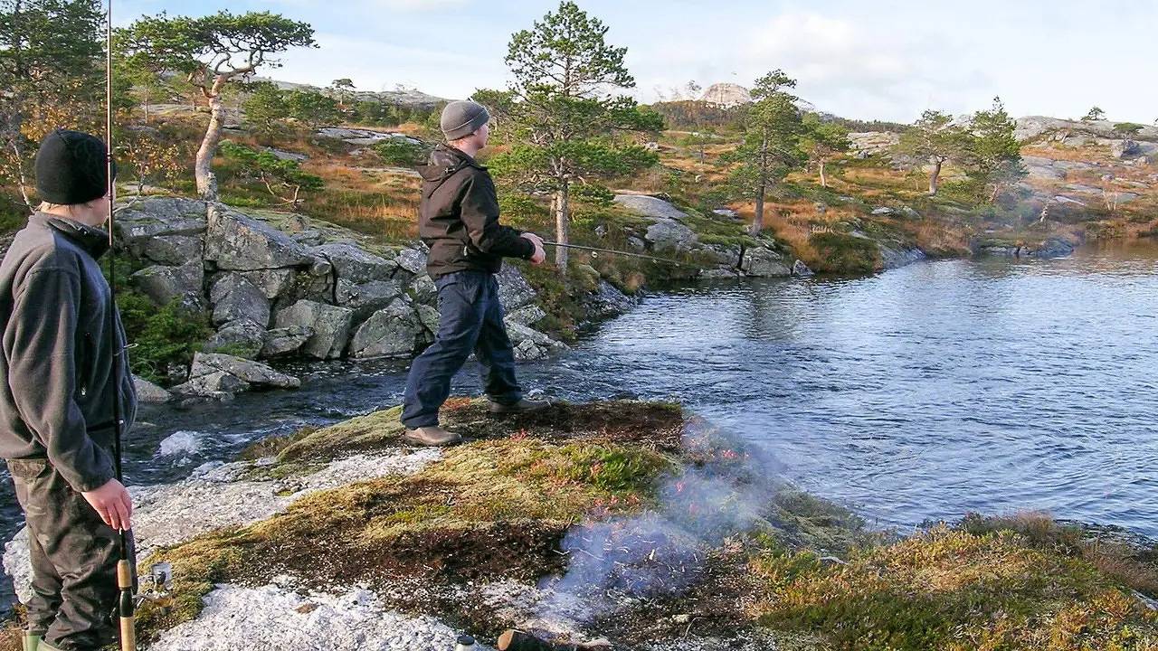 Maison de vacances pour 5 personnes avec terrasse in Senja, Tranøy