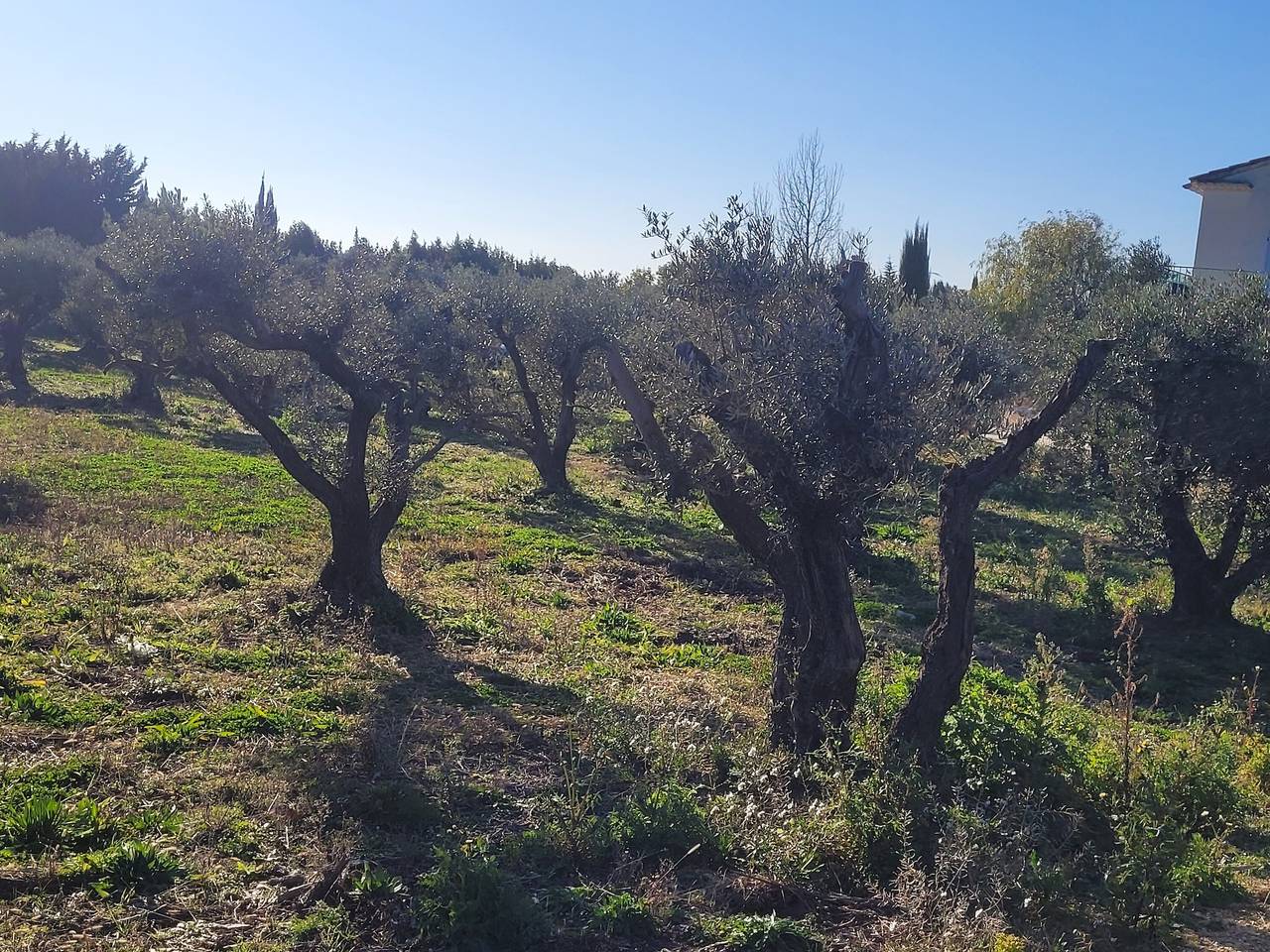 Gîte « Mas Cornille » avec vue sur la montagne, Wi-Fi et climatisation in Fontvieille, Région d'Arles