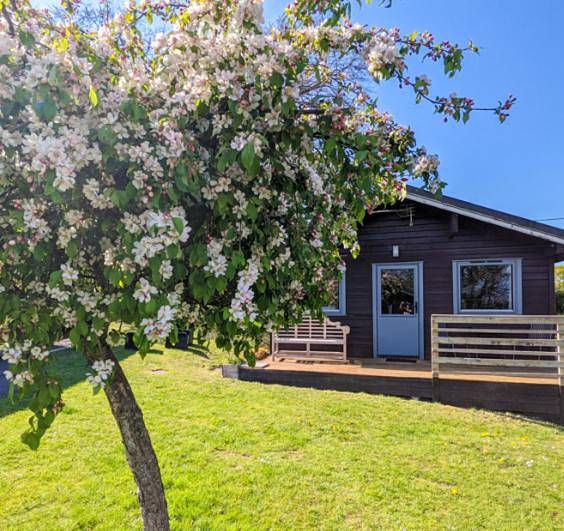 Two-Bedroom Villa in Cornwall