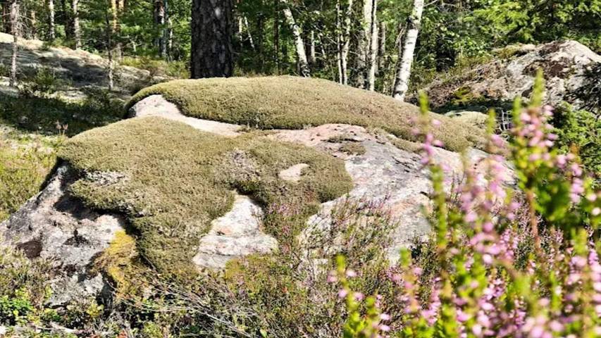 Ferienhaus für 4 Personen, mit Garten in Södermanland - 4