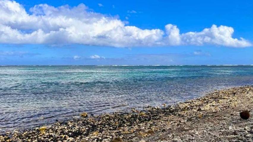 Location de vacances pour 2 personnes, avec terrasse dans Papara - 2