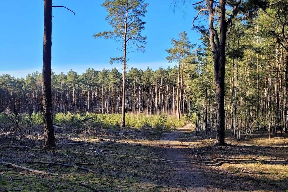 Ganze Wohnung, Ruheoase Waldblick in Baruth/Mark, Teltow-Fläming