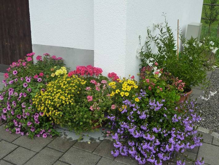 Ganze Ferienwohnung, Haus Rosi - Ferienwohnung 2 mit Terrasse in Bregenzerwald (Vorarlberg), Au