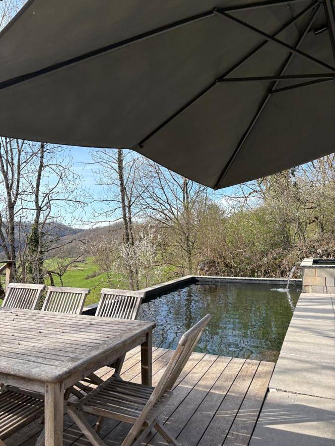 Location de vacances pour 9 personnes, avec jardin et vue ainsi que bassin pour enfant et piscine à Marchastel - 4