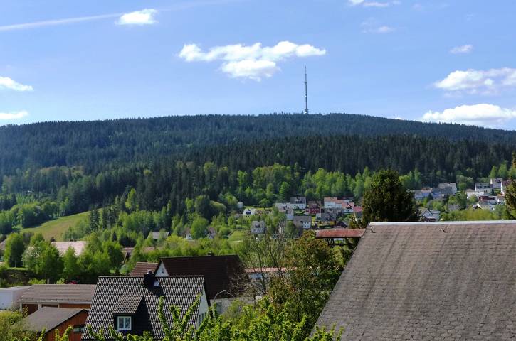 Ganze Wohnung, Ferienwohnung Heike Greiner - Ferienwohnung (65m²) mit Wintergarten und kostenfreiem Wlan in Ochsenkopf, Bischofsgrün
