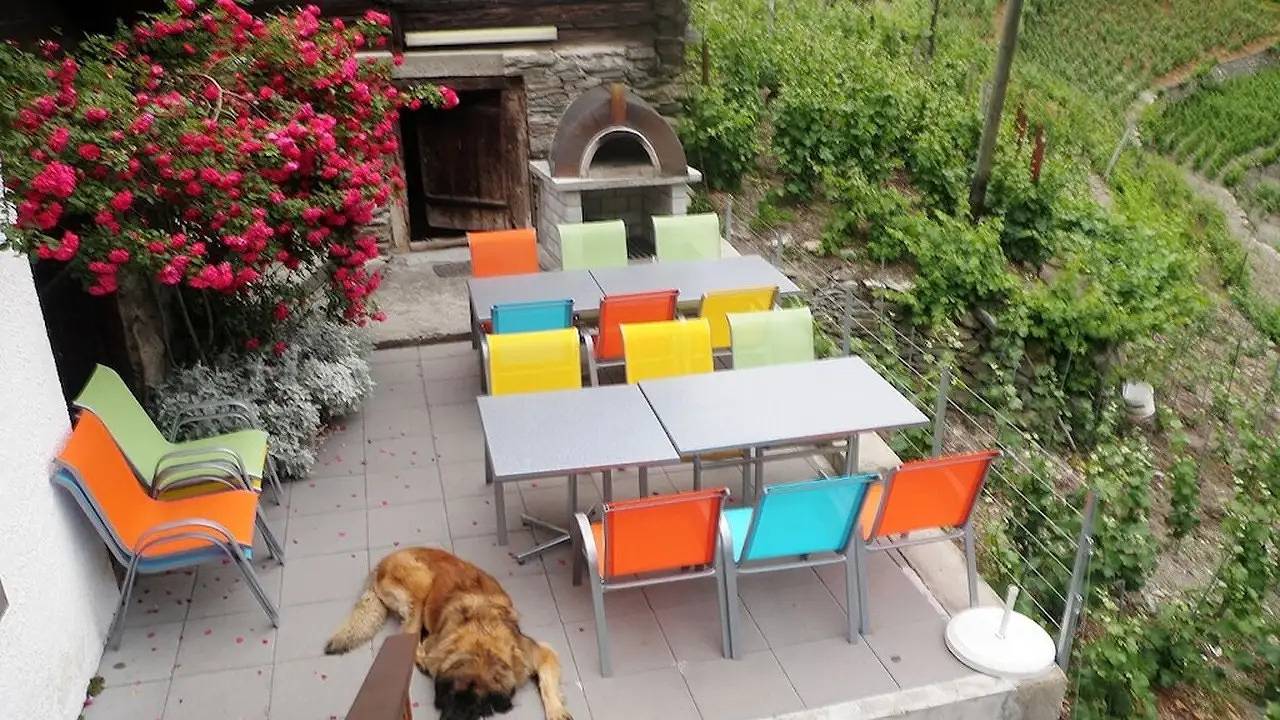 Ferienhaus für 24 Personen (250 m²) in Visperterminen in Visperterminen, Walliser Alpen