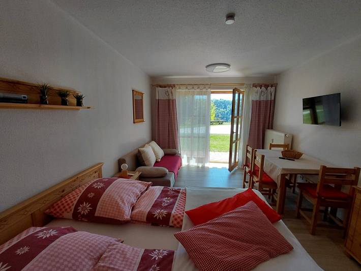 Studio für 3 Personen in Dreiländereck (D-A-CZ) - 2
