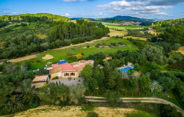Finca für 4 Personen, mit Terrasse und Pool in Montuïri - 2