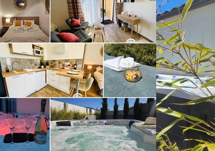 Location de vacances pour 3 personnes, avec jacuzzi et jardin à Villemoustaussou - 3