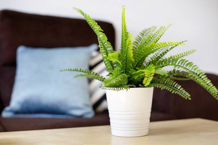 Ferienwohnung für 4 Personen in Pájara - 2