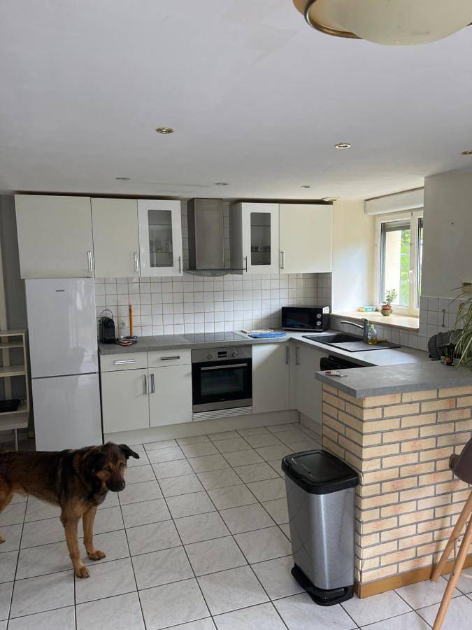 Location de vacances pour 4 personnes, avec terrasse ainsi que jardin et jacuzzi à Saint-Laurent-sur-Oust - 4