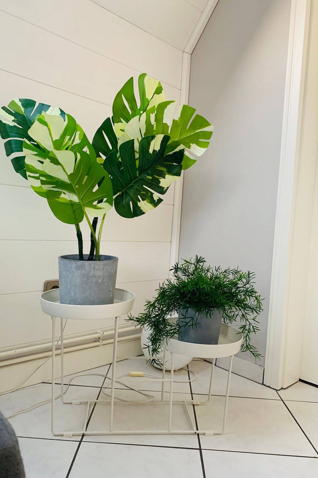 Ganze Wohnung, Diekbude in Friedrichskoog-Spitze, Friedrichskoog