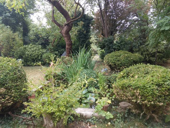 Gîte pour 2 personnes, avec jardin et piscine près des Châteaux de la Loire - 3