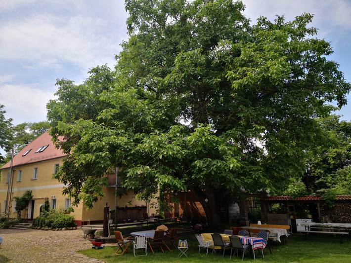 Pension für 2 Personen, mit Terrasse, kinderfreundlich in Sächsisches Burgen- und Heideland - 2