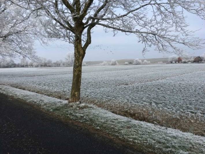Ferienhaus für 4 Personen, mit Terrasse und Garten, mit Haustier in Ostfriesland - 2