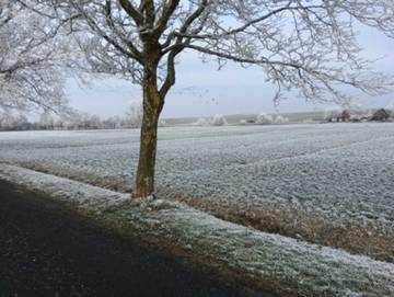 Ferienhaus für 4 Personen in Jemgum, Südliche Nordseeküste, Bild 1