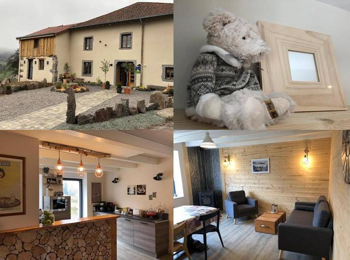 Chambre d’hôte pour 4 personnes, avec vue et terrasse, animaux acceptés dans les Vosges - 2