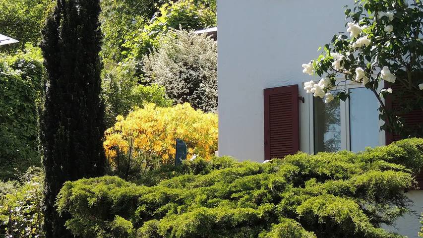 Ferienwohnung für 3 Personen, mit Garten, mit Haustier in Neustadt an der Weinstraße - 4