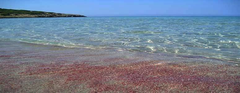 Affittacamere la Medusa in Porto Pino, Sant'Anna Arresi