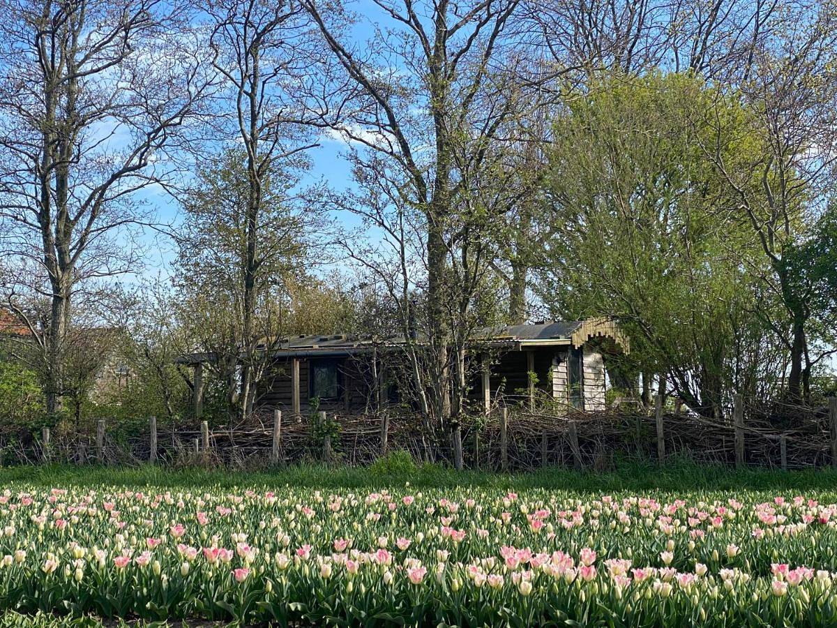 De Verborgen Pracht in Schagen, Nederlandse Noordzeekust