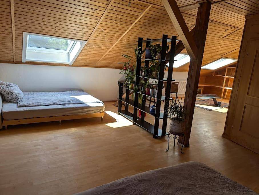Ganze Wohnung, Eigene Etage im charmanten Holzhaus in Miesbach, Bayerische Alpen