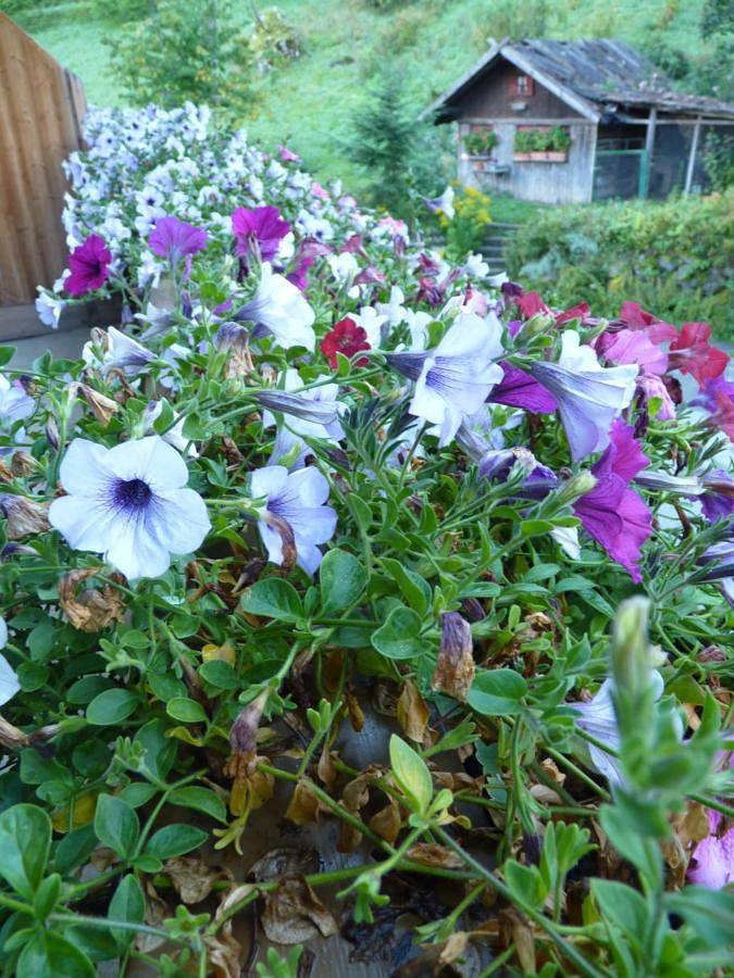 Ferienwohnung für 2 Personen, mit Garten und Terrasse, mit Haustier in Latsch - 3