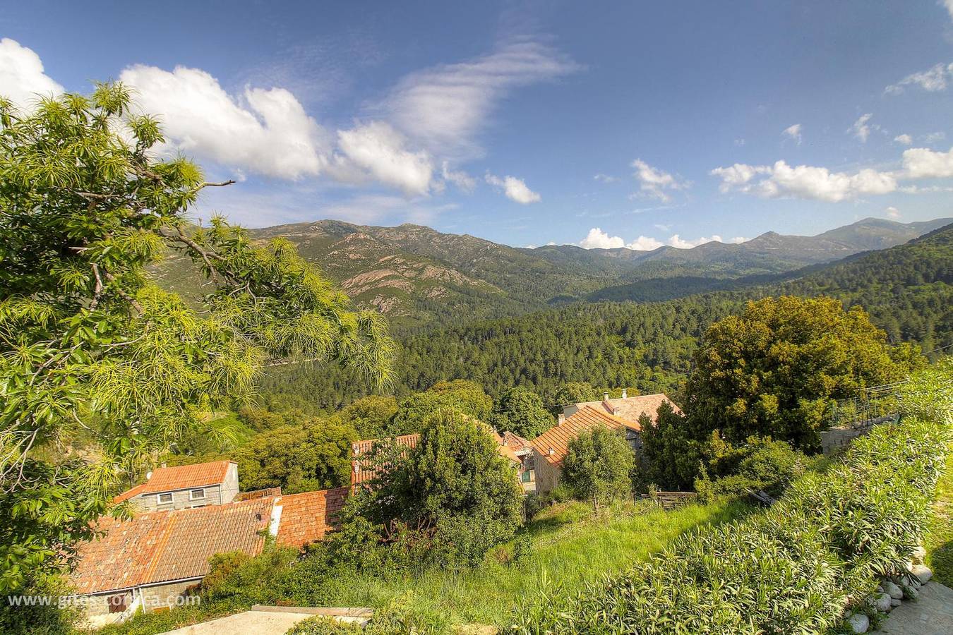 Villa Cardellini - L'arbousier in Aullène, Parc naturel régional de Corse