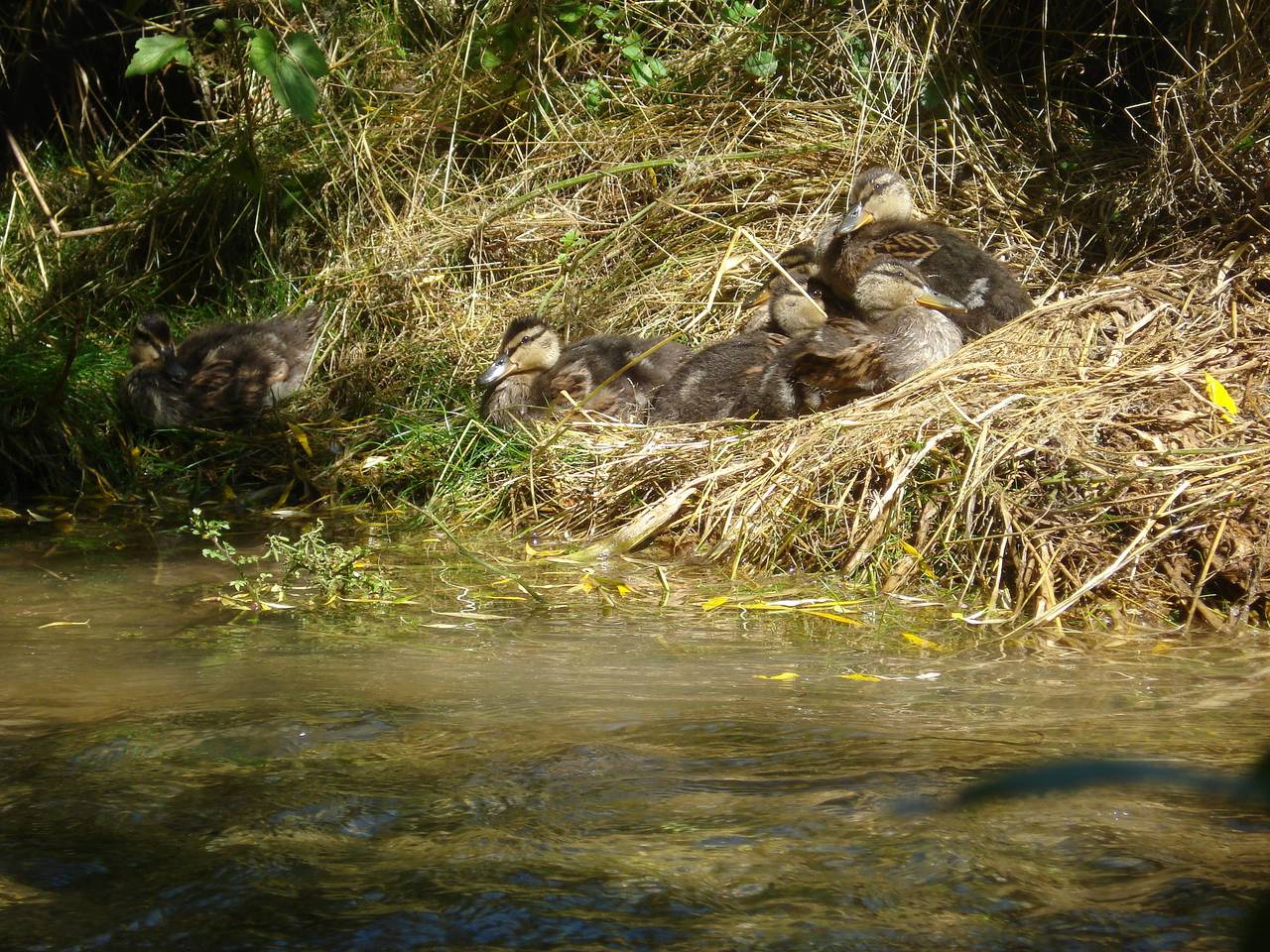 Ferienhof Hohe - Drei Zinnen in Hiltpoltstein, Frankenalb