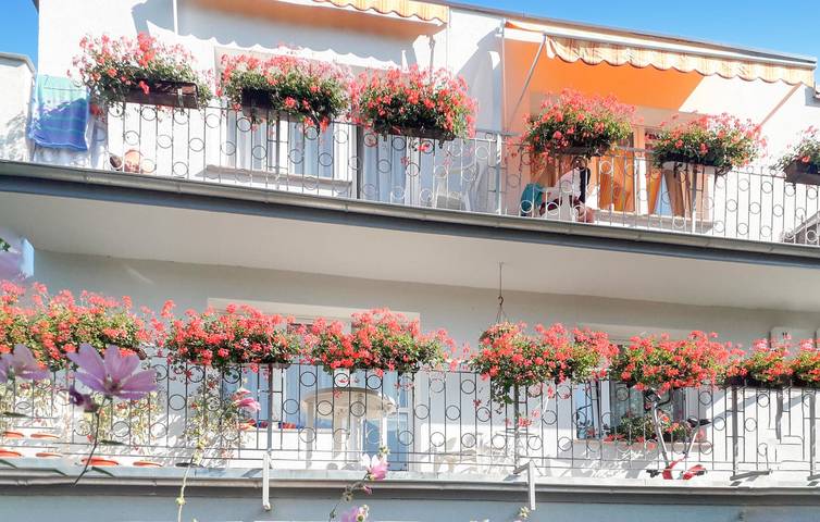 Ferienwohnung für 4 Personen, mit Terrasse - 1