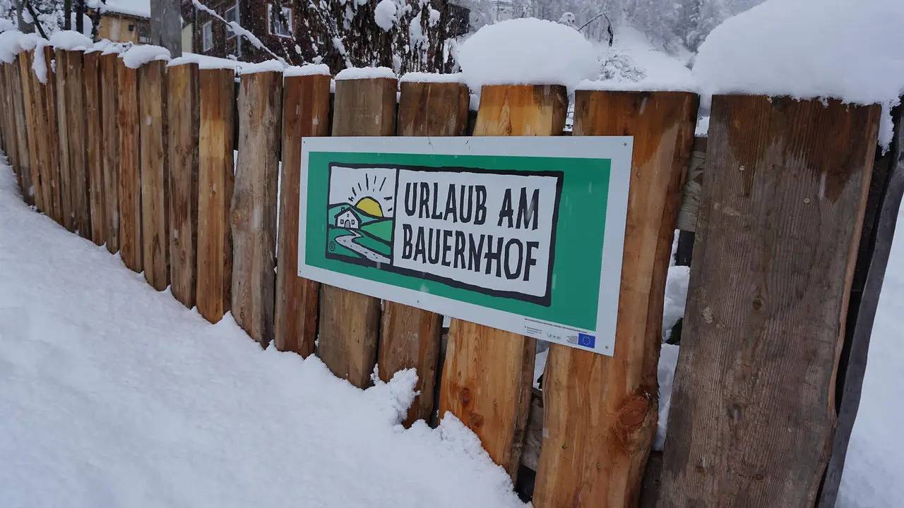 Ganze Ferienwohnung, Ferienwohnung für 4 Personen (80 m²) in Mörtschach in Schobergruppe, Mörtschach