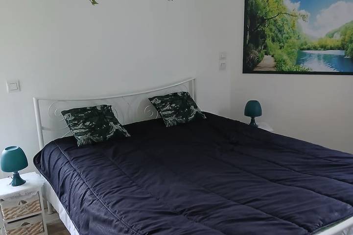Appartement entier, Appartement centre ville ,  vue exceptionnel  sur Sancy. 2 Sdb avec wc. 4 lits in Mont-Dore, Parc naturel régional des Volcans d'Auvergne