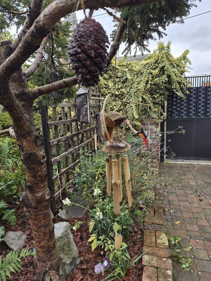 Location de vacances pour 4 personnes, avec jardin et vue, animaux acceptés à Crespin (Nord) - 3