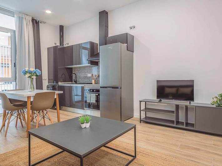 Gîte pour 3 personnes, avec Terrasse dans Benimaclet