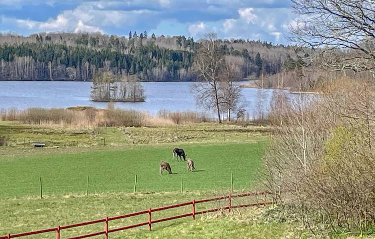 Bauernhof für 4 Personen, mit Garten in Schweden - 2