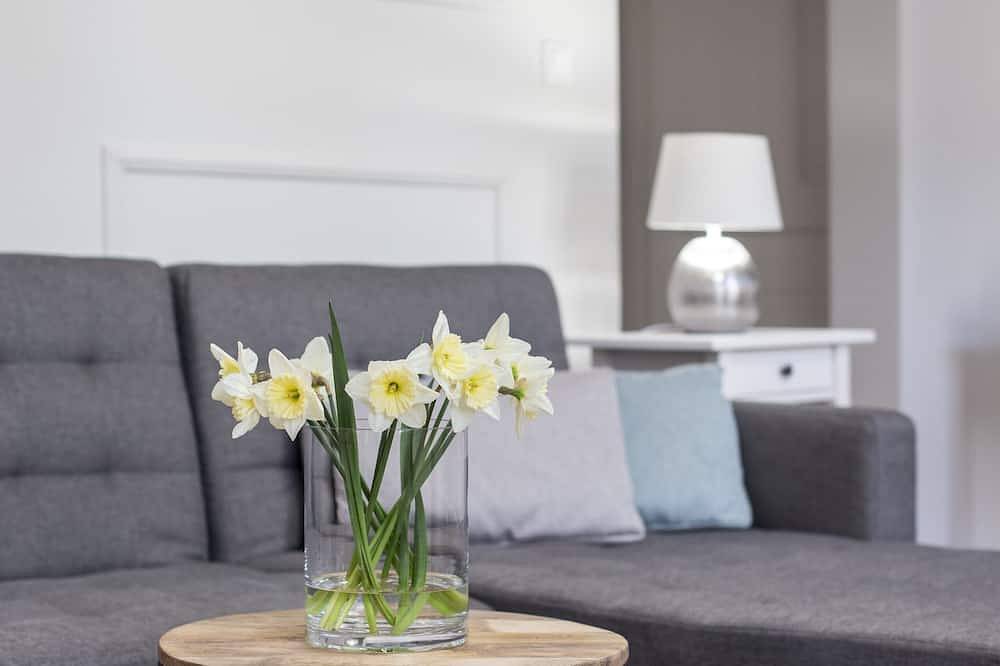 Ganze Wohnung, Exklusive 1 Schlafzimmer Wohnung für 4 Personen in der Innenstadt von Sopron in Sopron, Raab-Wieselburg-Ödenburg