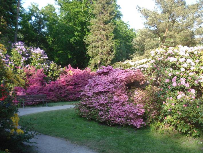 Ferienpark für 3 Personen, mit Balkon in der Rostocker Heide - 4