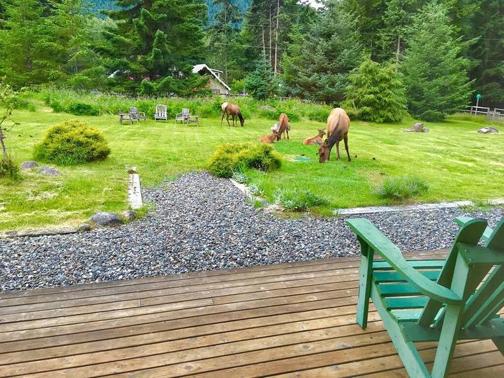 Vacation rental for 8 people, with yard in Mount Rainier National Park