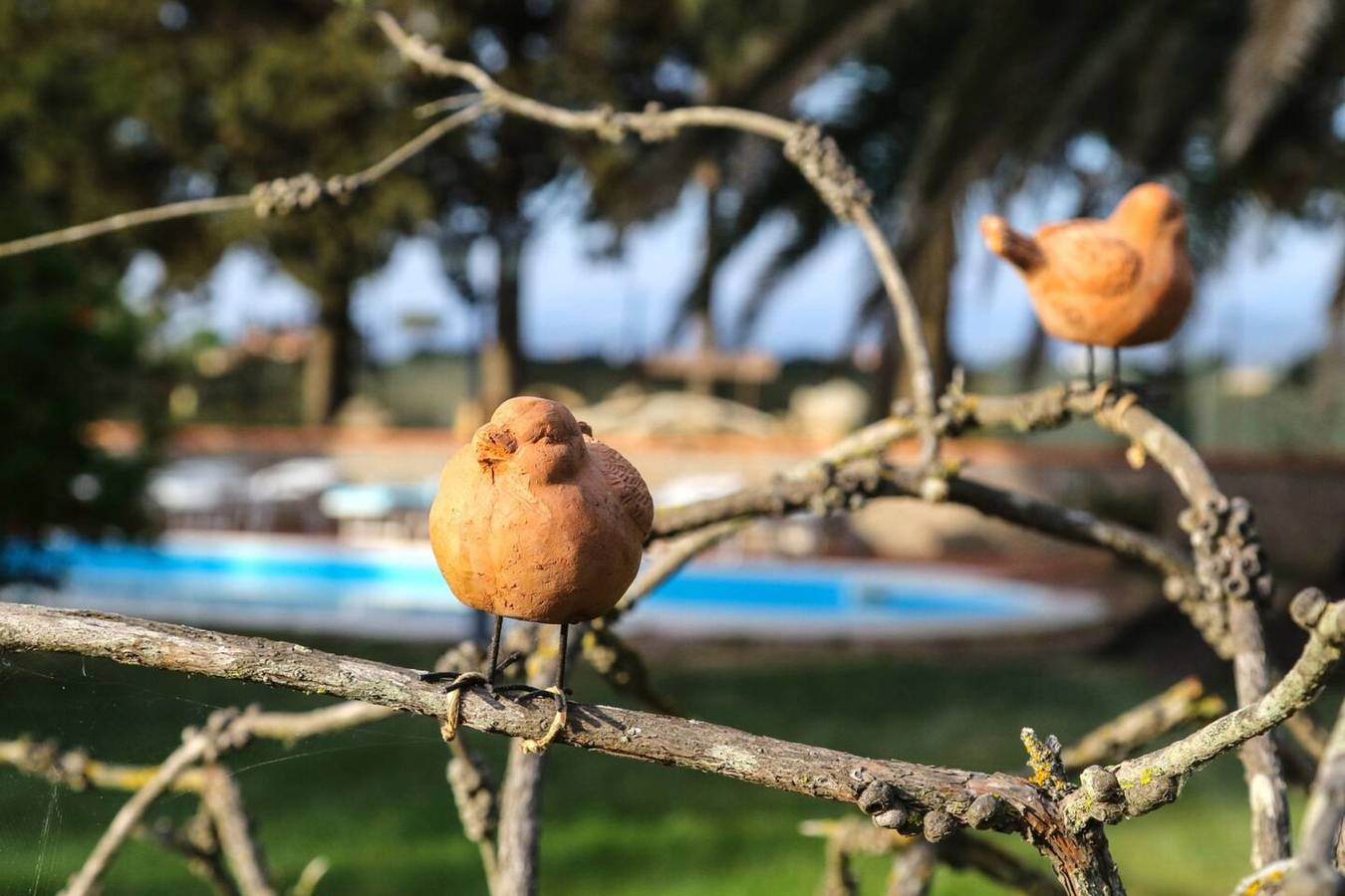 Hel studio-lejlighed, Studio 'Appartamento Stelle' with Shared Pool, Shared Garden and Wi-Fi in Campiglia Marittima, Etruscan Kyste