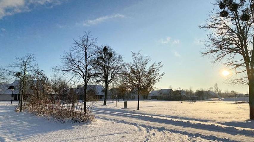 Ferienhaus für 6 Personen, mit Garten und Terrasse, mit Haustier in Dobbin-Linstow - 3