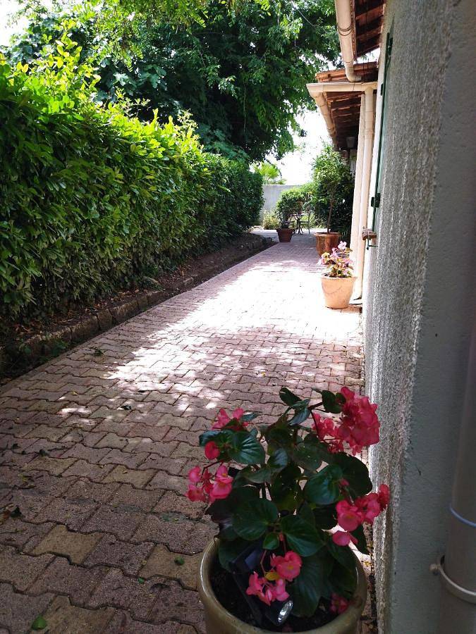 Location de vacances pour 6 personnes, avec vue et jardin, animaux acceptés à Castries - 4