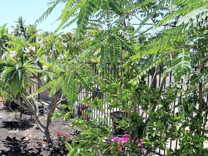 Maison d’hôte pour 5 personnes, avec jardin à Perth - 4