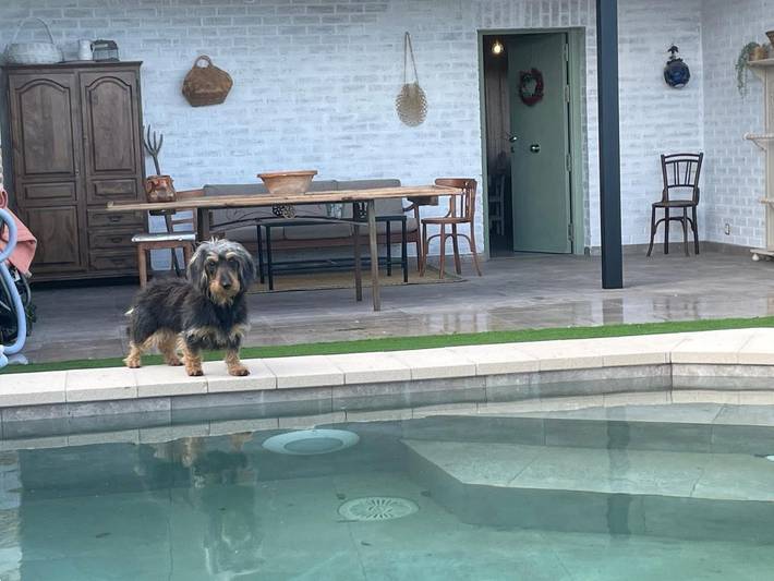 Casa de vacaciones para 13 personas, con Balcón y Terraza además de Jardín y Piscina en Provincia de Toledo - 2