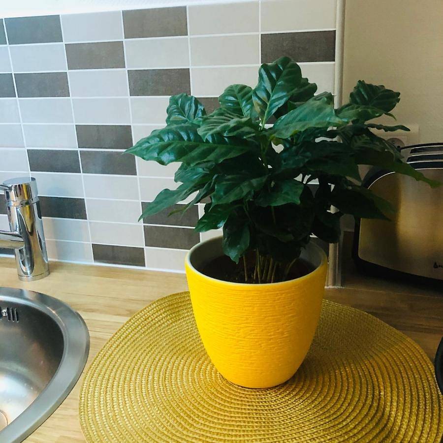 Appartement entier, One-Bedroom Apartment in Vincennes, Val-de-Marne