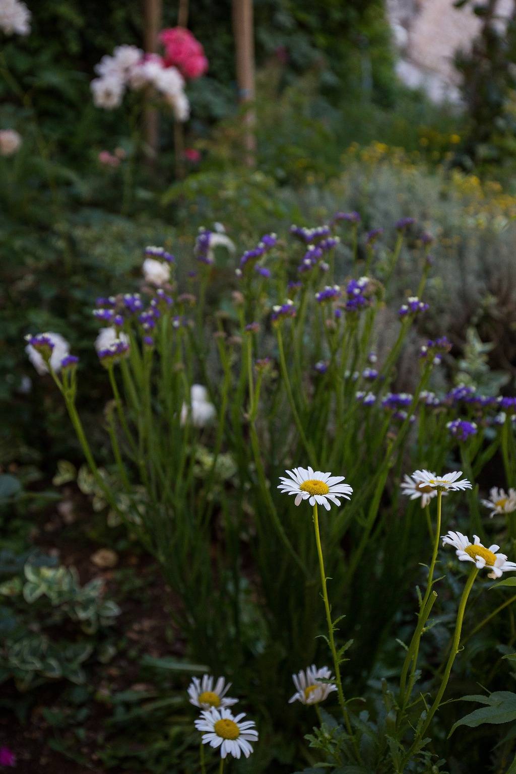 Ganze Wohnung, Ferienwohnung für 4 Personen mit Balkon in Plat, Dubrovnik-Neretva