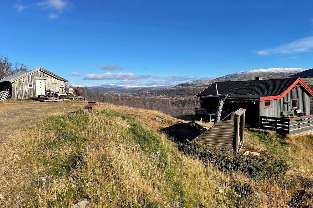 Lebe im Reich der Moschusochsen auf Dovrefjell in Dovre