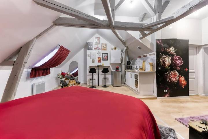 Gîte pour 4 personnes, avec balcon et jacuzzi à Bray-sur-Seine - 3