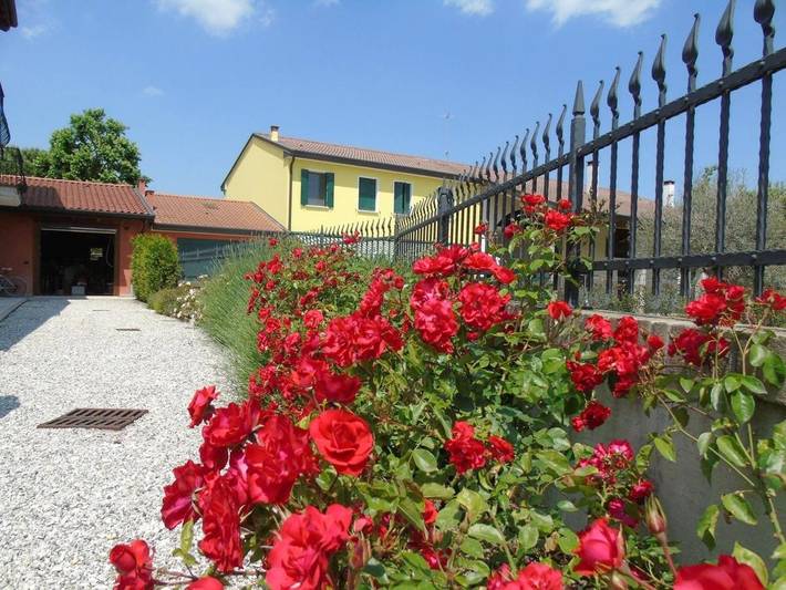 Location de vacances pour 3 personnes, avec terrasse ainsi que jardin et vue à Mestrino - 3