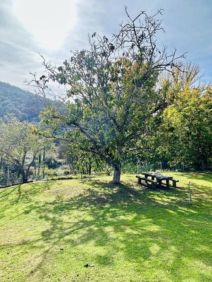 Casa rural para 10 personas, con piscina además de jardín y vistas, Se admiten mascotas en Constantina - 2