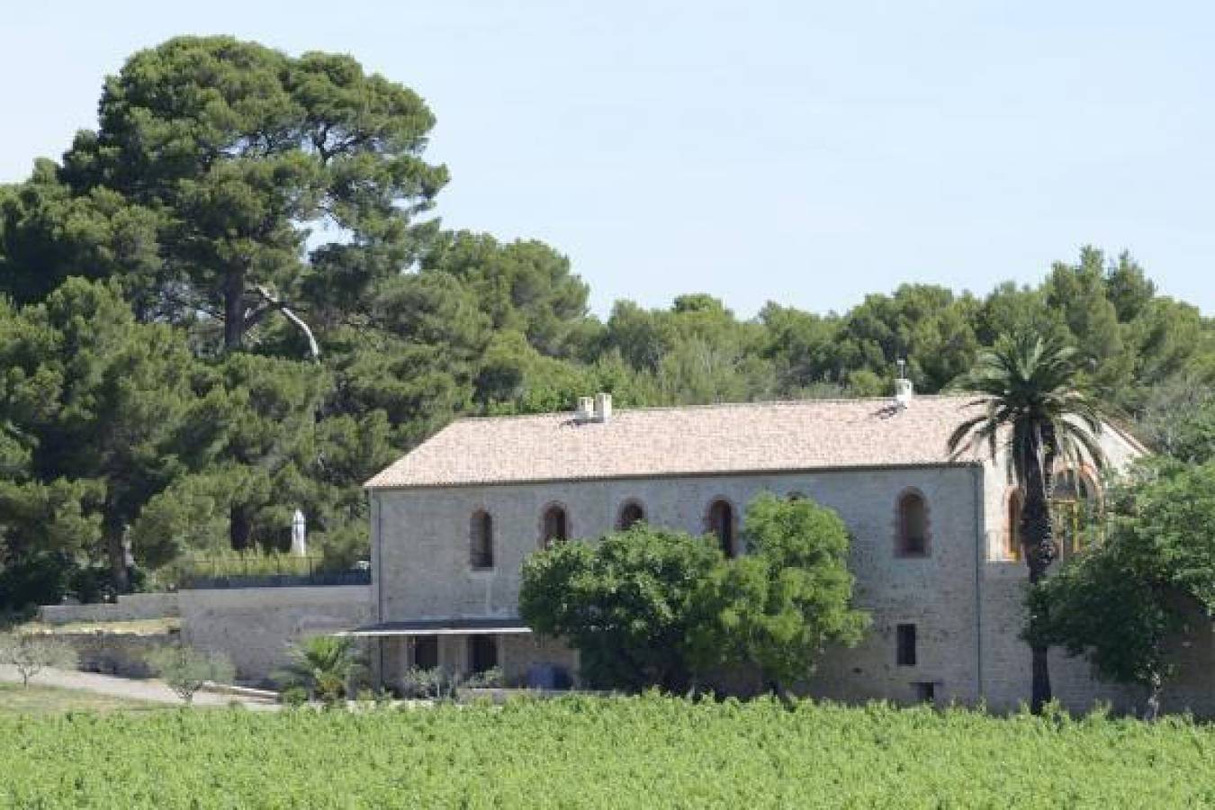 Le Figuier in Villeveyrac, Côte méditerranéenne (France)
